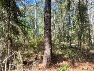 0 County Road 2202, Goshen, AL 36035 - photo 7