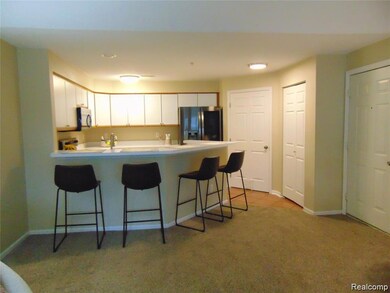 1429 Millbrook Trail unit 172, Ann Arbor, MI 48108 - photo 5