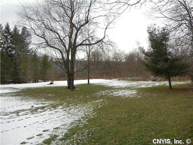 Yard/Garden Huge Backyard!