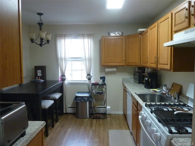 143 Parkside Dr unit 143, Suffern, NY 10901 - photo 7