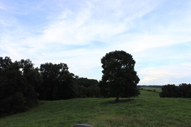 IMG_8588