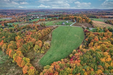 1830 Bruzgul Rd, Lagrangeville, NY 12540 - photo 5