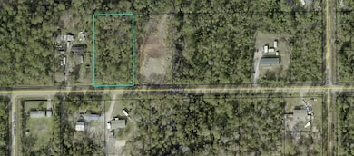 5638 Palm Ave, Bunnell, FL 32110 - photo 3