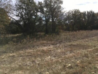 100 Buckner Rd, Lipan, TX 76462 - photo 3