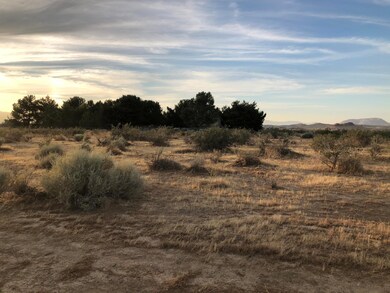 0 Krista St & Trumar Rd unit 20004648, Rosamond, CA 93560 - photo 4