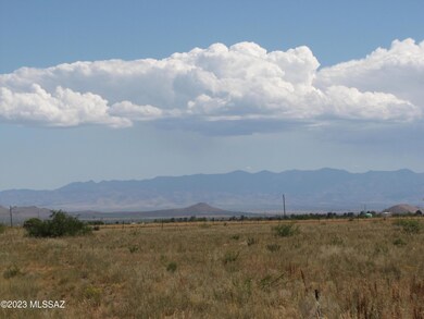 Looking east-Chircahua Mtns