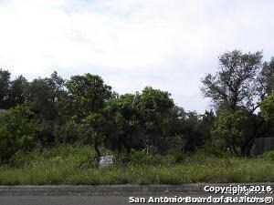 11218 Blue Waters, Helotes, TX 78023 - photo 4