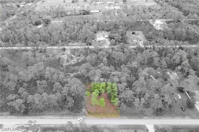 2210 Truman Ave, Alva, FL 33920 - photo 7