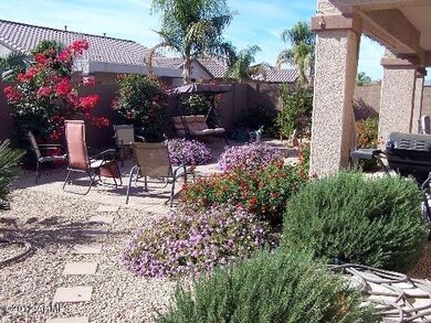 Beautiful Outdoor plants