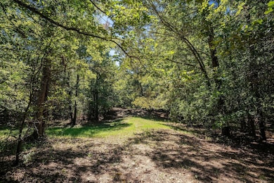 View of local wilderness