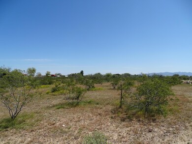 DSC02326