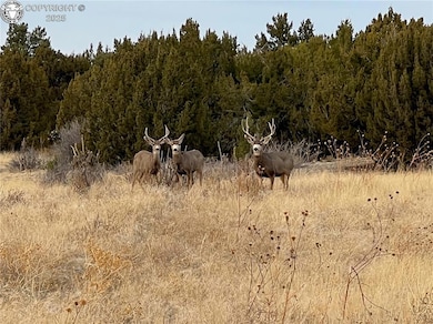 1840 Newton Rd, Pueblo, CO 81005 - photo 5