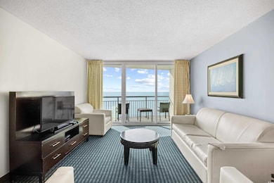Living area with dark colored carpet, expansive wi