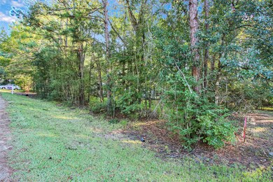 29903 Denton St, Magnolia, TX 77354 - photo 2