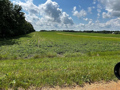 XX TBD Mellgren Ln, Chaska, MN 55318 - photo 4