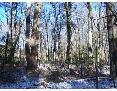 581 Depot St, North Easton, MA 02356 - photo 4