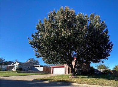 318 Alpine Dr, Weatherford, TX 76086 - photo 4