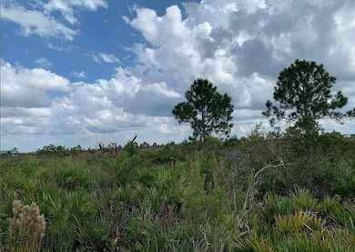 48341 Bermont Rd, Punta Gorda, FL 33982 - photo 5