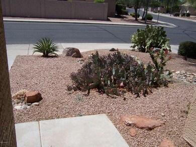 More Front Desert Landscape !