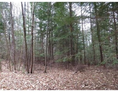 17 Jennison Rd, Wendell, MA 01379 - photo 5