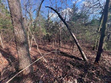 Tract B Arkansas 101, Gamaliel, AR 72537 - photo 6