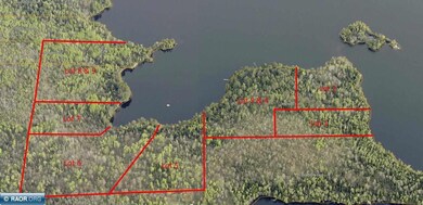 Lot 7 Wakemup Narrows N, Cook, MN 55723 - photo 6
