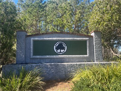 Lot 21 Black Cypress Dr, Darien, GA 31305 - photo 7