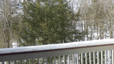 L Willows Snowtree Ln, Dover, VT 05356 - photo 2