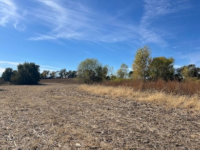 650 County Road R, Yutan, NE 68073 - photo 6