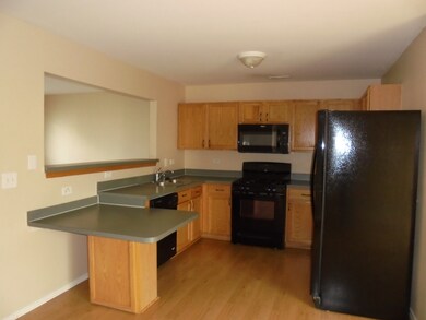 211 W Washington St unit 3253, Oswego, IL 60543 - photo 5