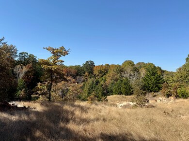 Big Tree Rd, Montague, TX 76251 - photo 4