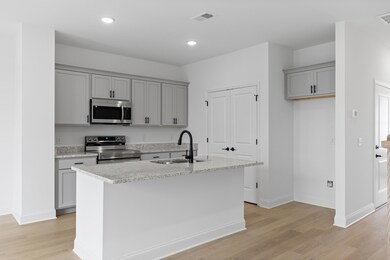Lily Kitchen