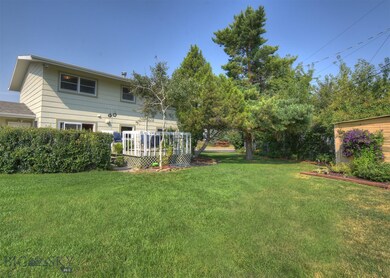 Large backyard