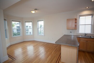 12 Magnolia Ave unit 2, Cambridge, MA 02138 - photo 3
