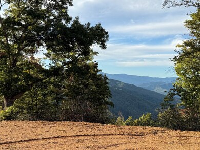 536 Cardinal Bluff Rd, Whittier, NC 28789 - photo 3