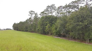 Rear fence line of property.  Northern edge lookin