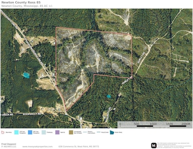 0 Little Rock County Line Rd, Union, MS 39365 - photo 3