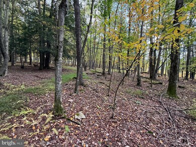 0 Lake Shore Dr unit MDGA2010464, Oakland, MD 21550 - photo 2