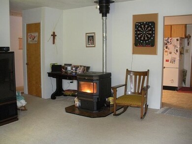 LIVING ROOM - PELLET STOVE