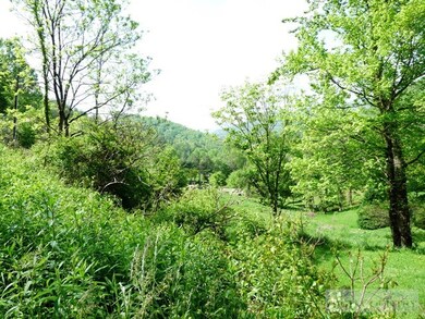 Grandfather mountain views can be yours-and a spri