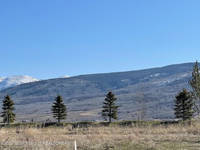 IMG_0874