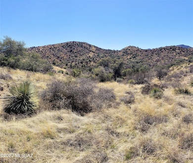 VIEW SOUTH AT THE NATIONAL FOREST