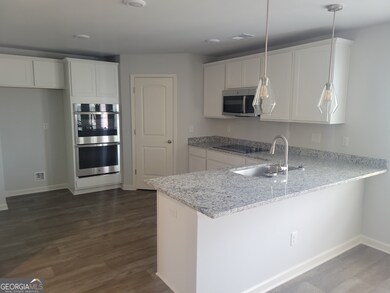 133 Percheron Rd unit 95, Hogansville, GA 30230 - photo 4