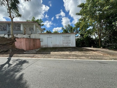 8829 Carr Sr unit 3, Bayamon, PR 00957 - photo 7