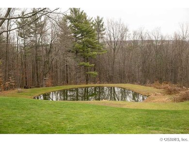 Other The pond you can see from the porch of the h