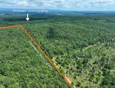 Rd, Watson, OK 74957 - photo 2