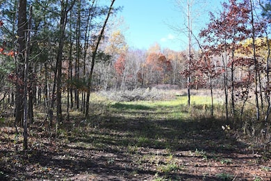 27727 Oberon Loop, Moran Township, MN 56438 - photo 4