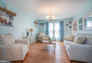 10 Roy Ct, Newark, DE 19711 - photo 6