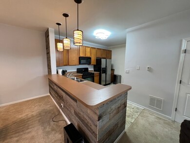 224 Springbrook Trail S unit 3, Oswego, IL 60543 - photo 6