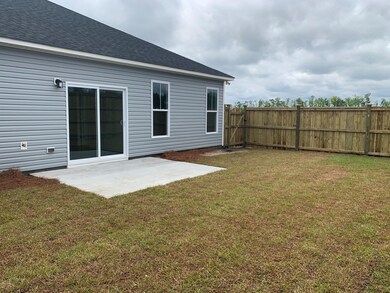 DMC 79 Backyard 2